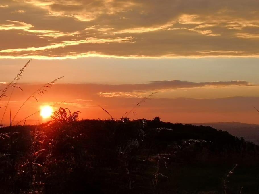 Converted Cattle Barn Overlooking Strangford Lough ニュートナーズ エクステリア 写真